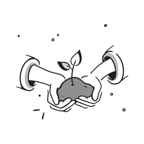 Illustration of a small plant